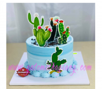 Bánh tt xương rồng